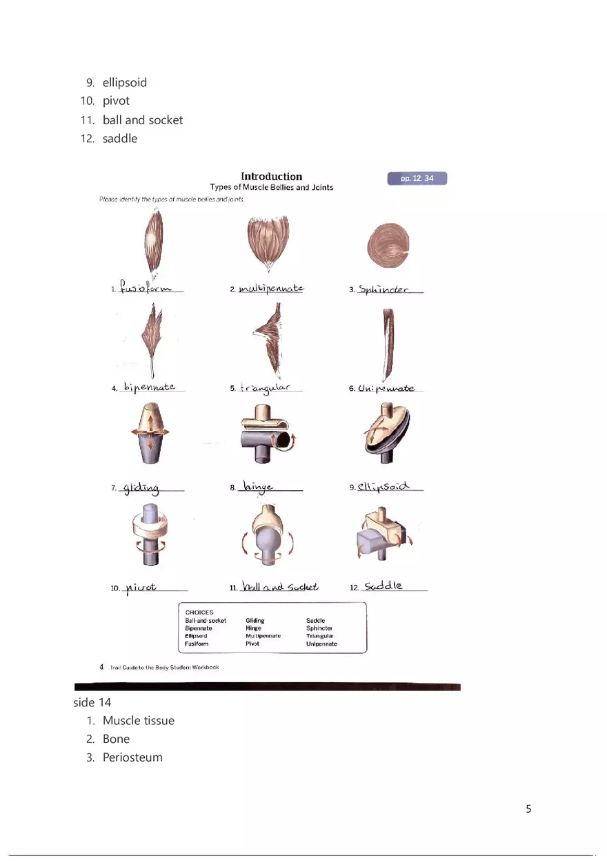 The Trail Guide to the Body Introduction - Page 5