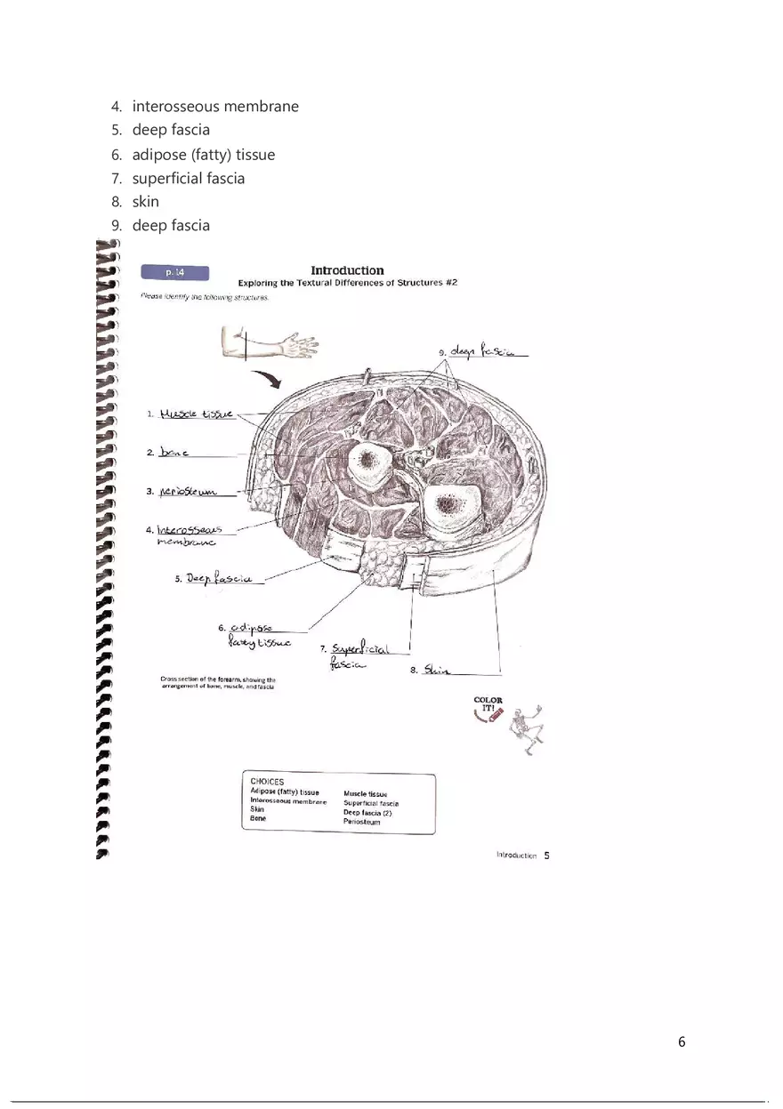 The Trail Guide to the Body Introduction - Page 6