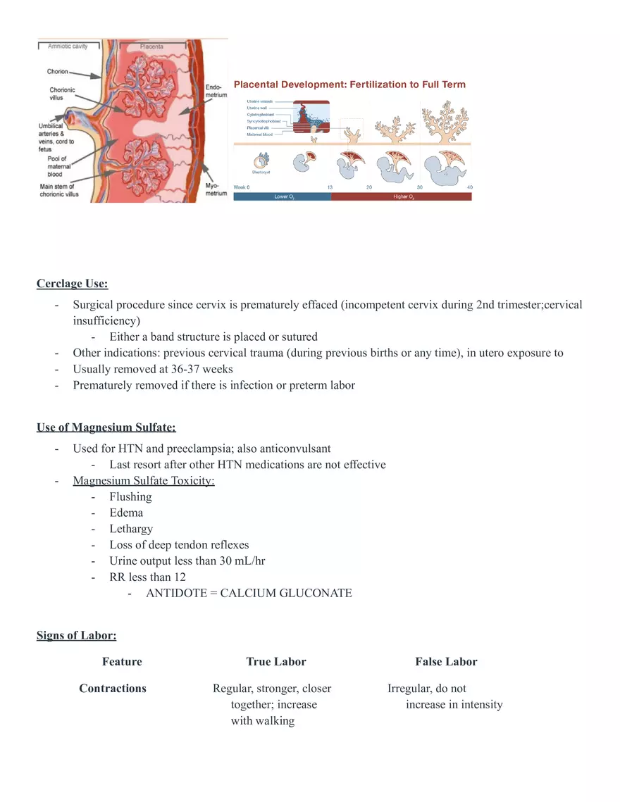 Signs of Pregnancy - Page 13