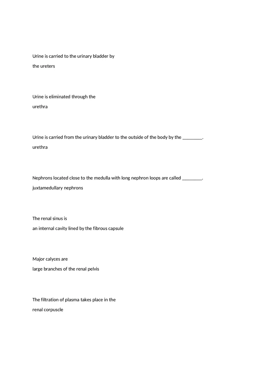The Urinary System - Page 2