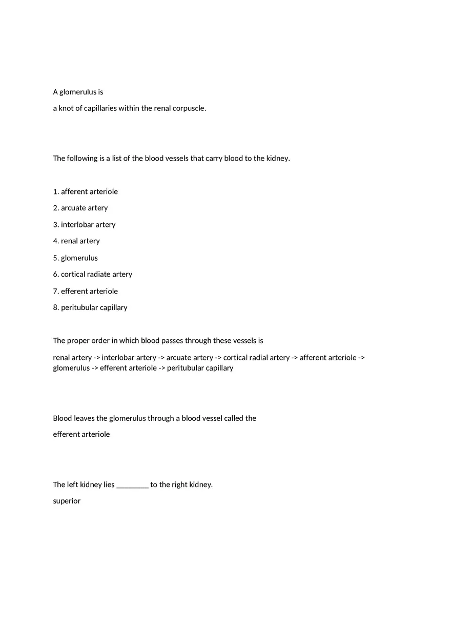 The Urinary System - Page 5