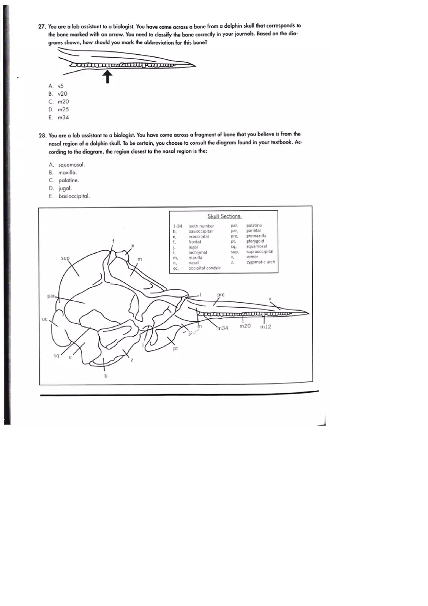 Graphic Literacy Practice Test 2 Part 4 - Page 1