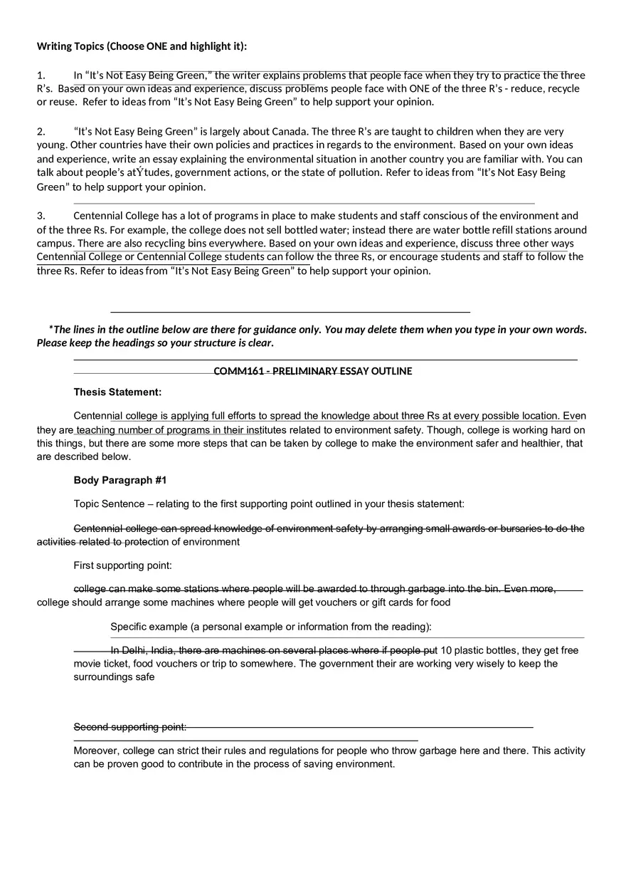 Preliminary Essay Outline Assignment - Page 3