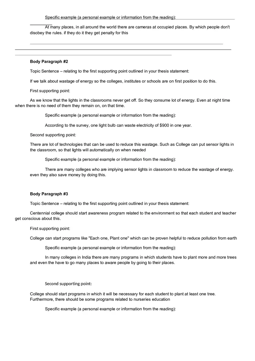 Preliminary Essay Outline Assignment - Page 4