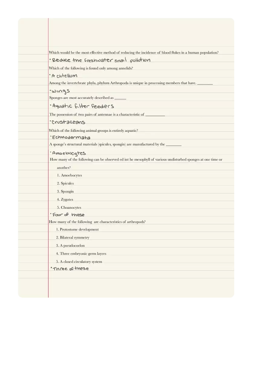Chapter 32 - An Overview of  Animal Diversity - Page 4