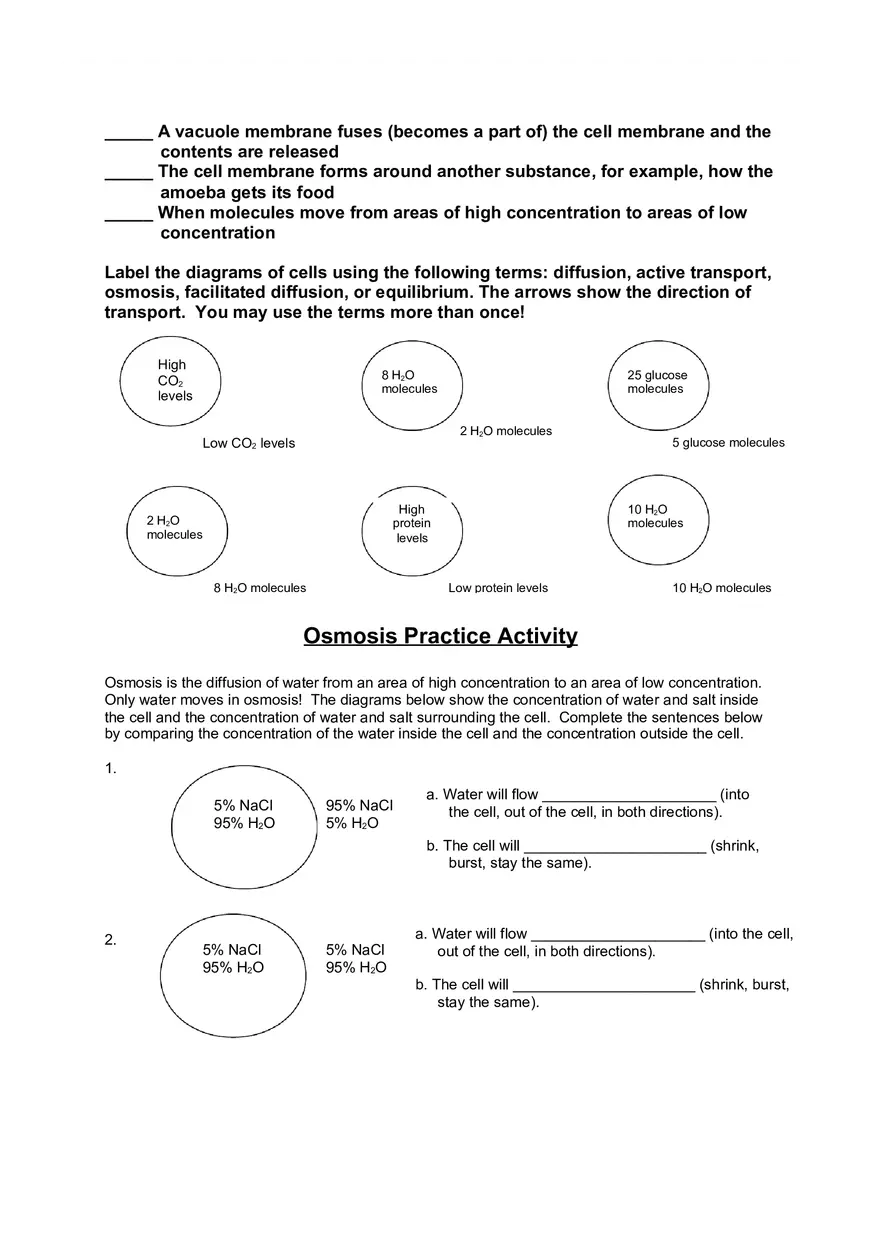Cell Transport Review Worksheets - Page 2