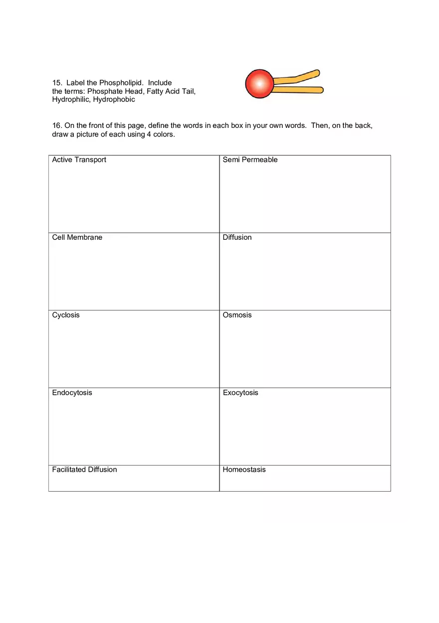 Cell Transport Review Worksheets - Page 6