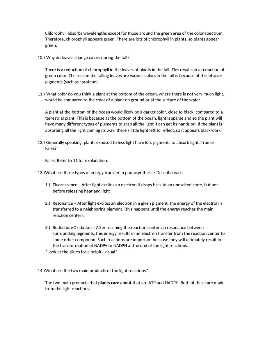 Haziq's Photosynthesis (Chapter 10) Concept Review - Page 2