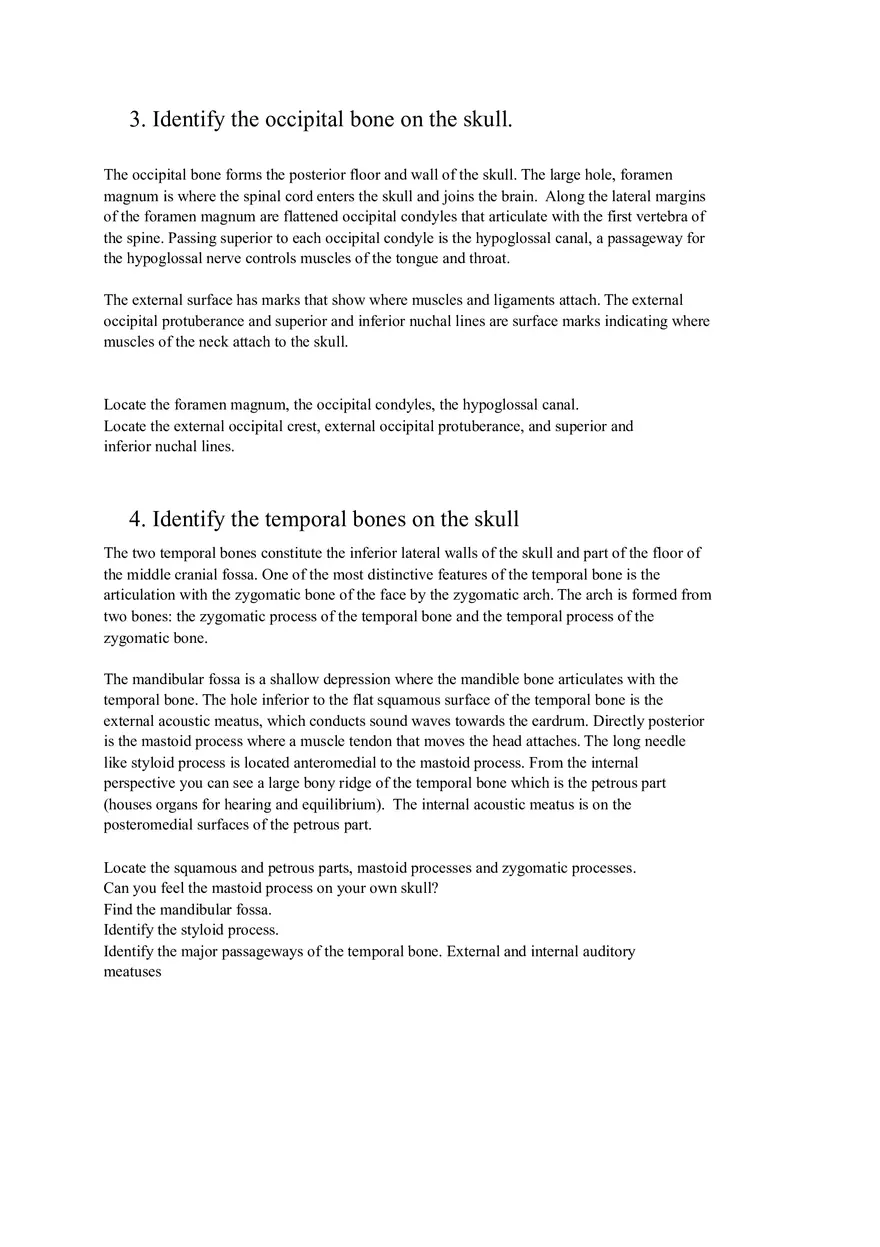 Lab 3 Organization of the Skeletal System - Page 8