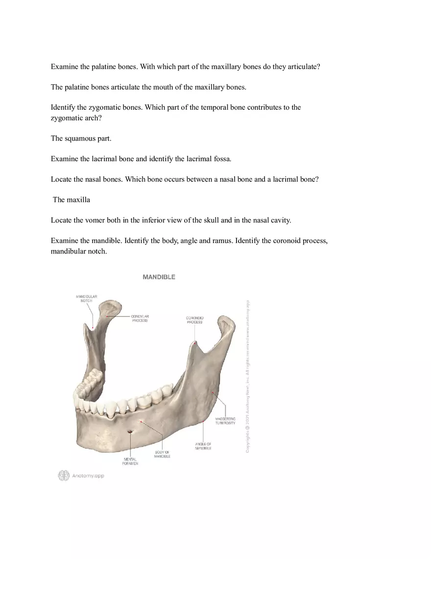 Lab 3 Organization of the Skeletal System - Page 11
