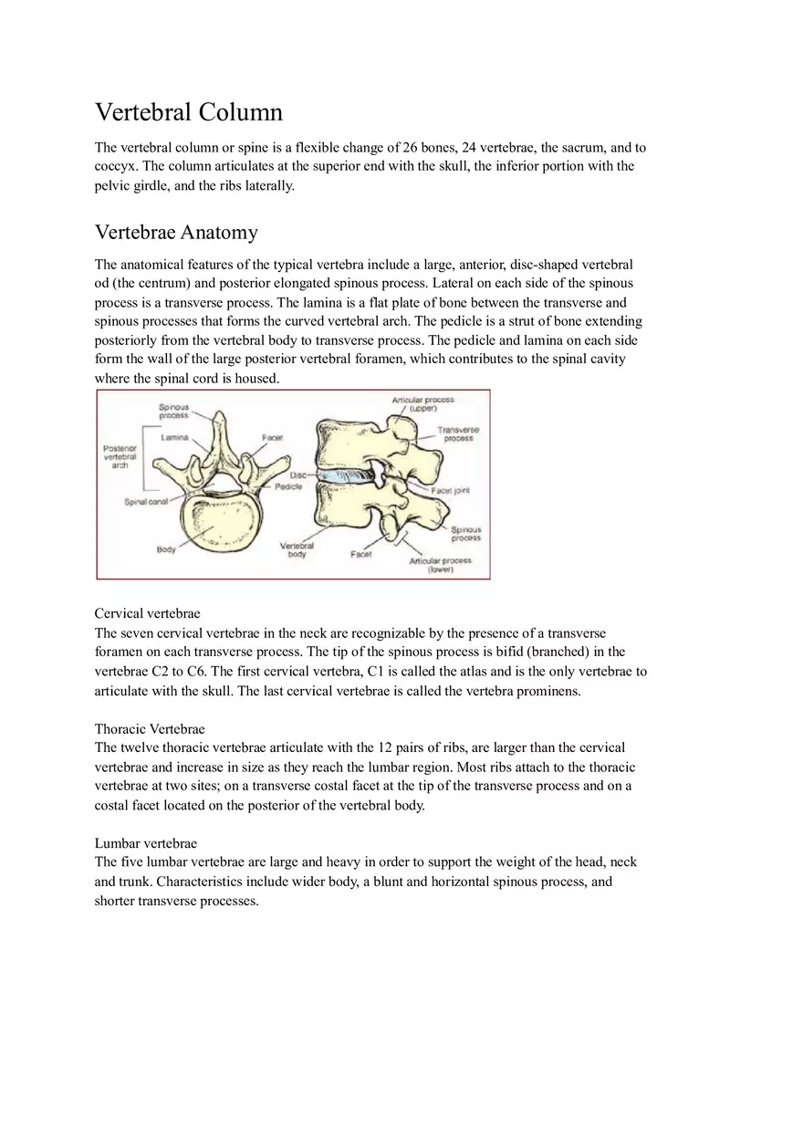Lab 3 Organization of the Skeletal System - Page 12