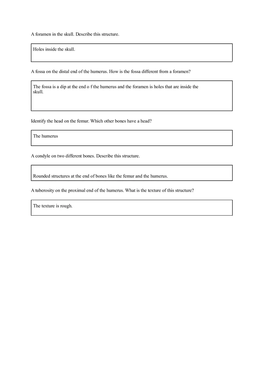 Lab 3 Organization of the Skeletal System - Page 2