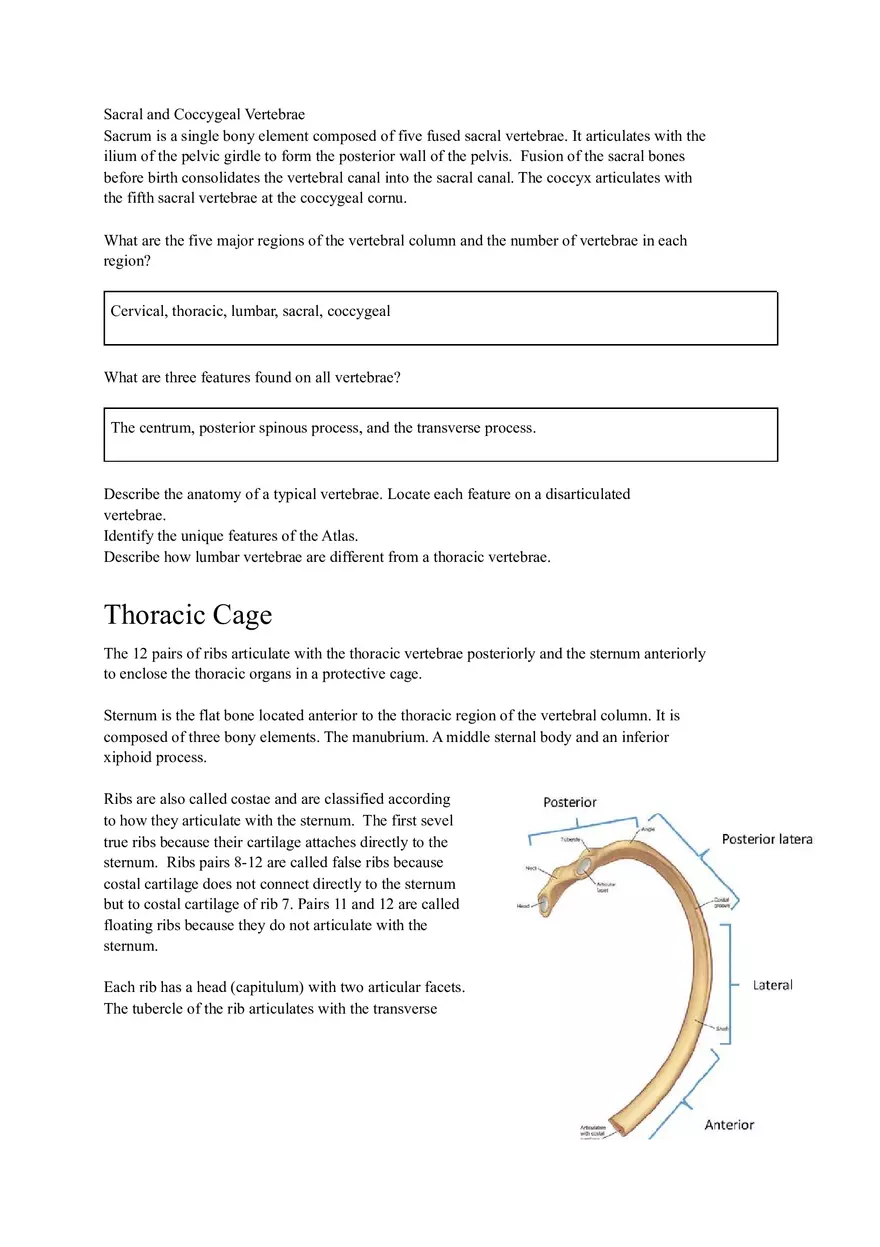 Lab 3 Organization of the Skeletal System - Page 3
