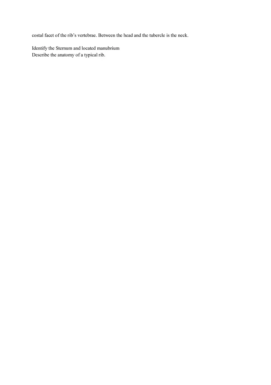 Lab 3 Organization of the Skeletal System - Page 4