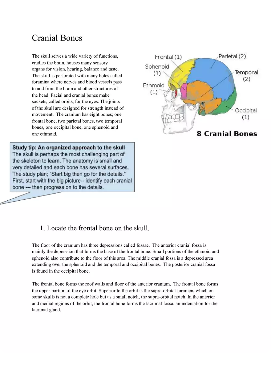 Lab 3 Organization of the Skeletal System - Page 6