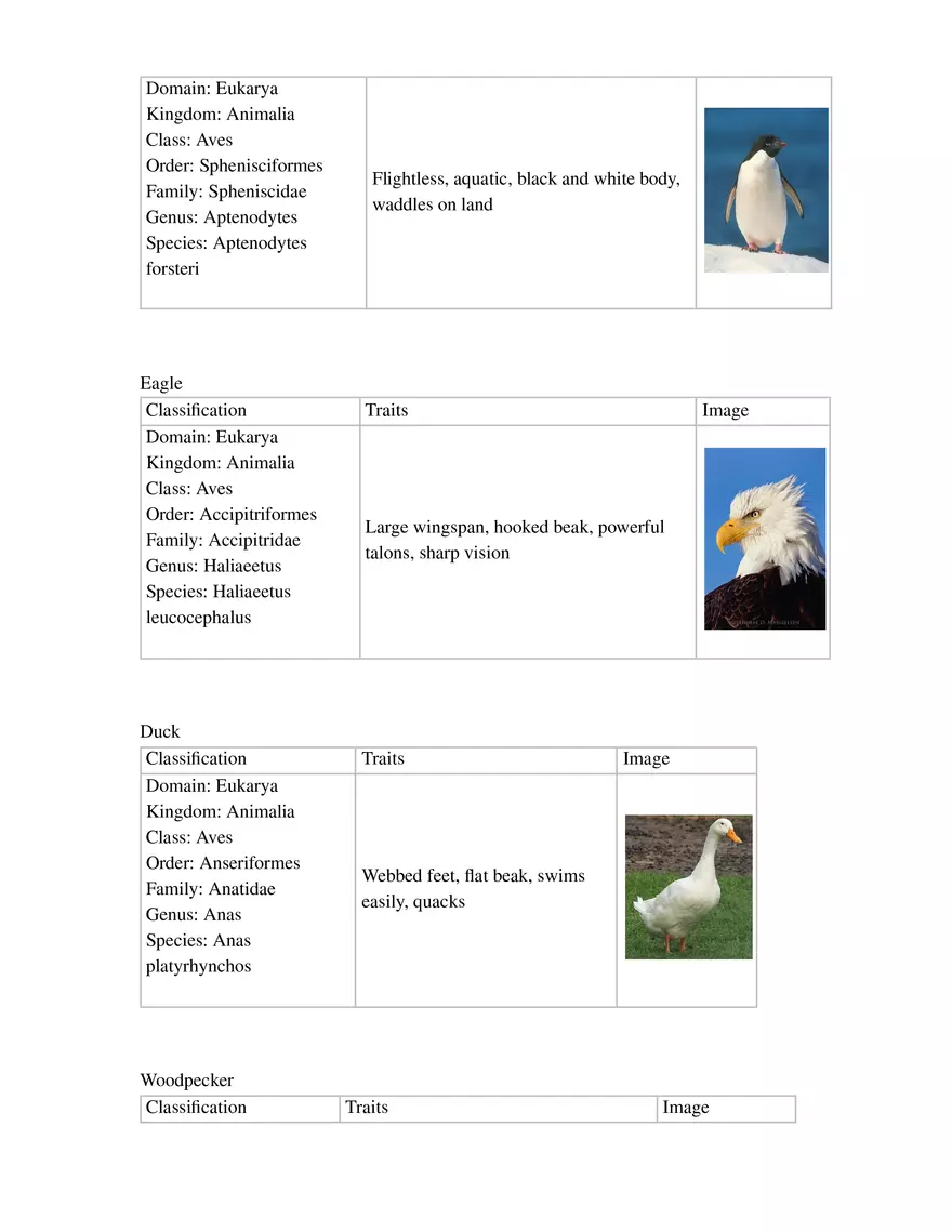 Dichotomous Key Assignment - Page 2