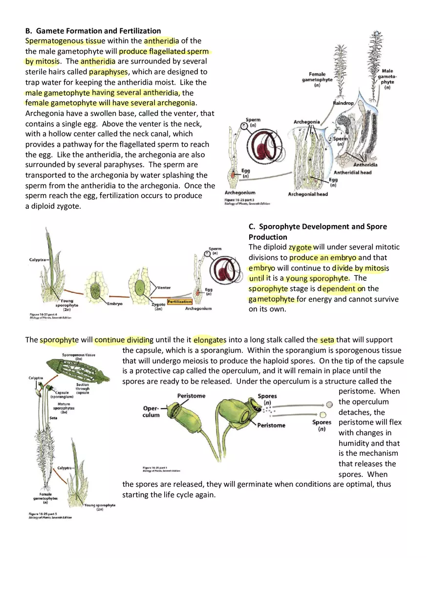 Moss Life Cycle Guide - Page 2