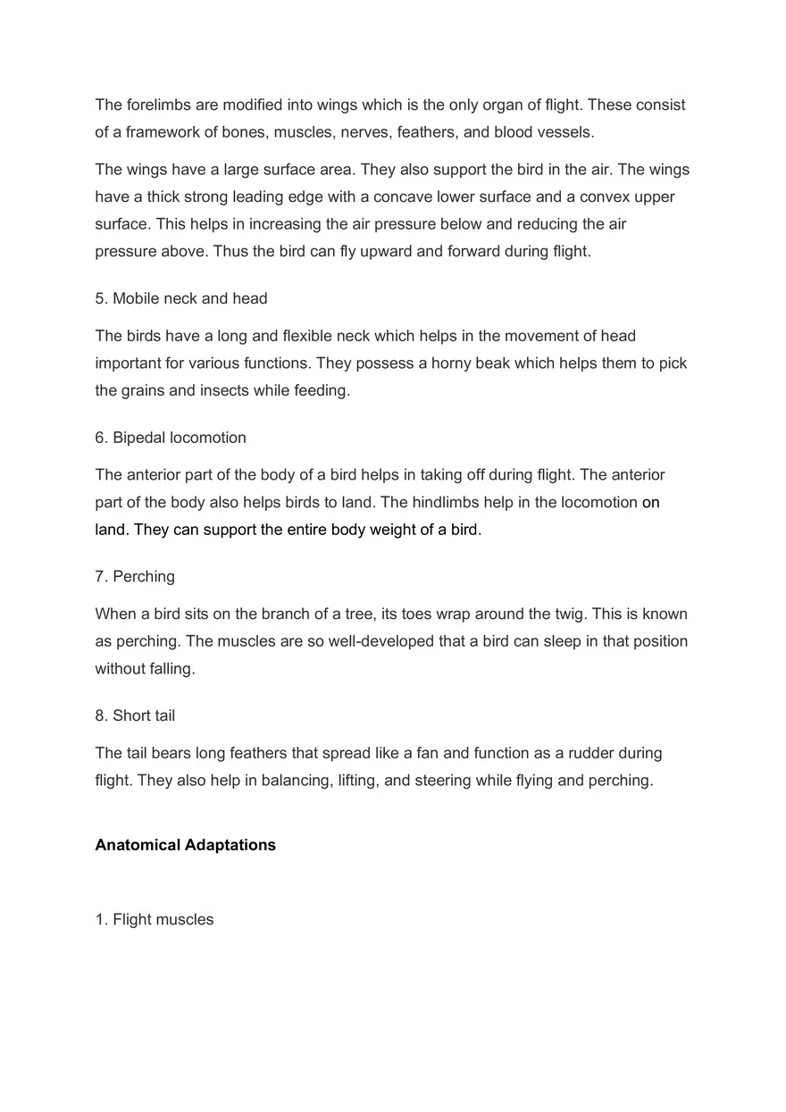 Flight Adaptations in Birds - Page 2