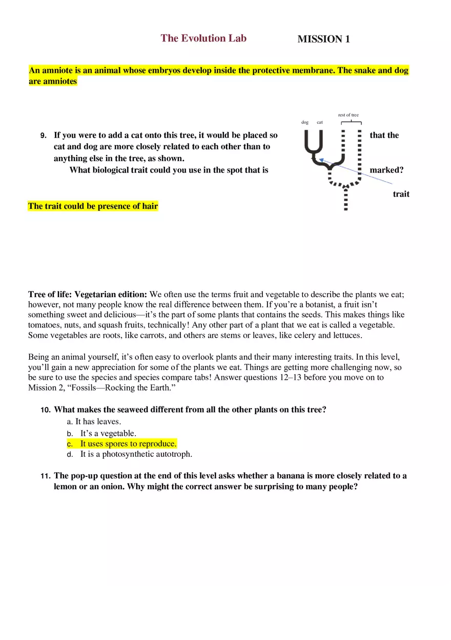 The Evolution Lab 101 - Page 7