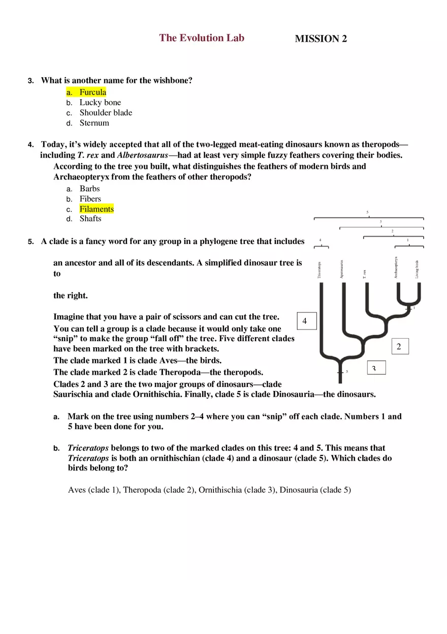 The Evolution Lab 101 - Page 10