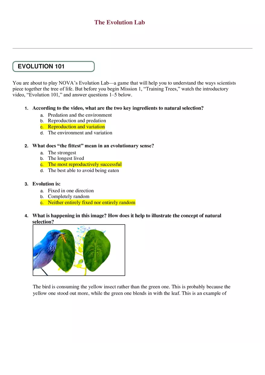 The Evolution Lab 101 - Page 1