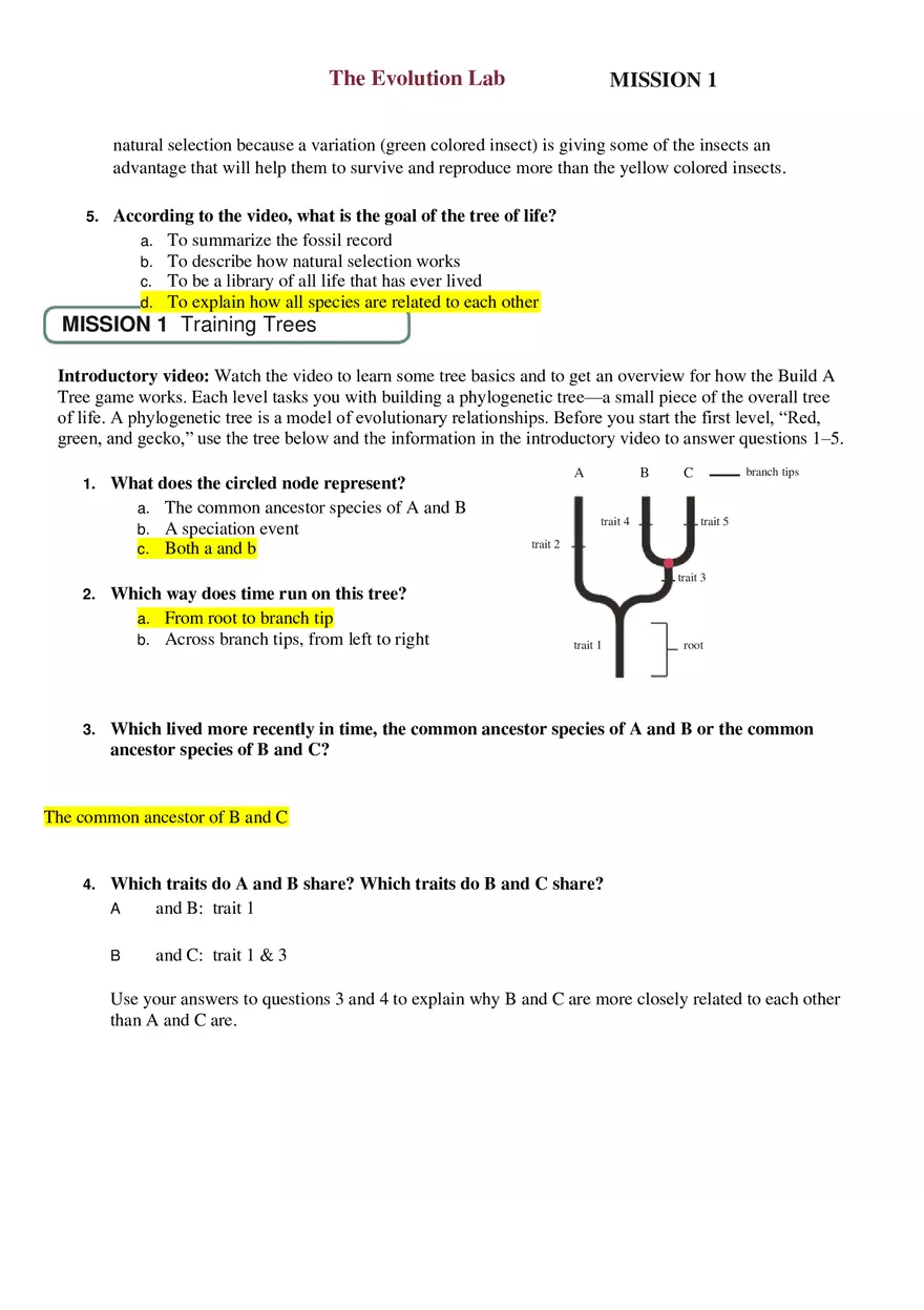 The Evolution Lab 101 - Page 2