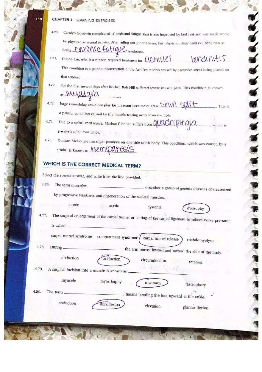 Chapter 4 Questions Muscular Answers - Page 7