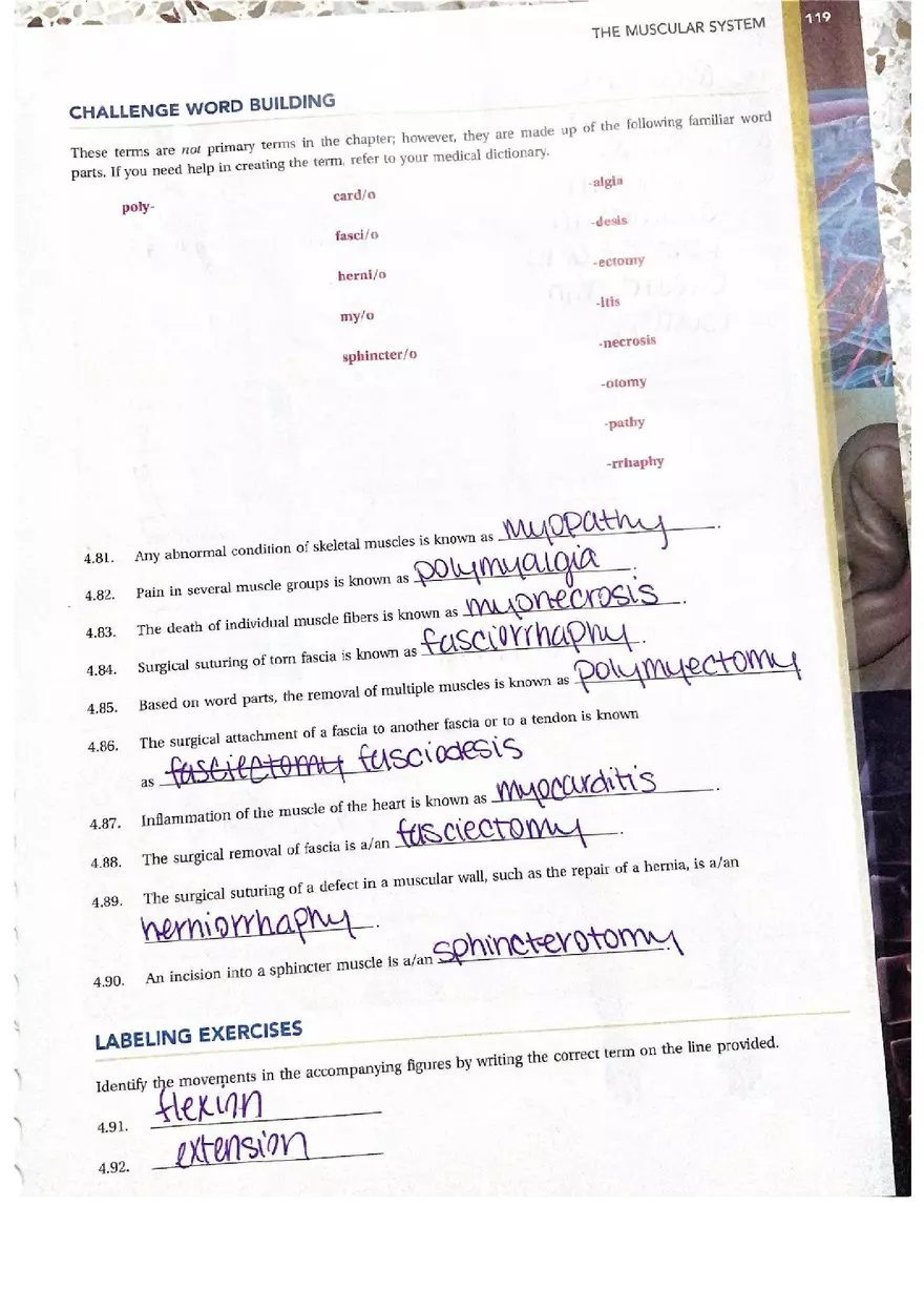 Chapter 4 Questions Muscular Answers - Page 8