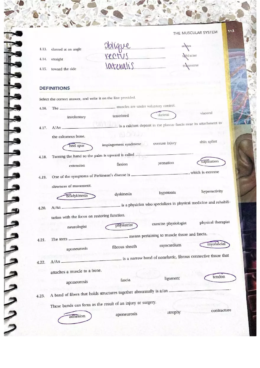 Chapter 4 Questions Muscular Answers - Page 2