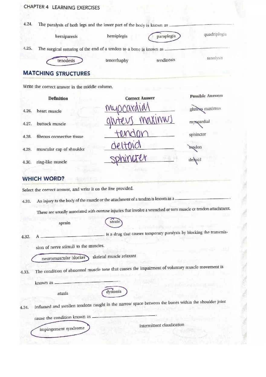 Chapter 4 Questions Muscular Answers - Page 3