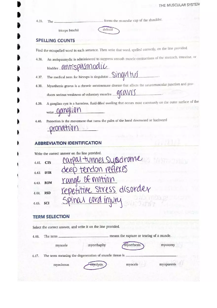 Chapter 4 Questions Muscular Answers - Page 4