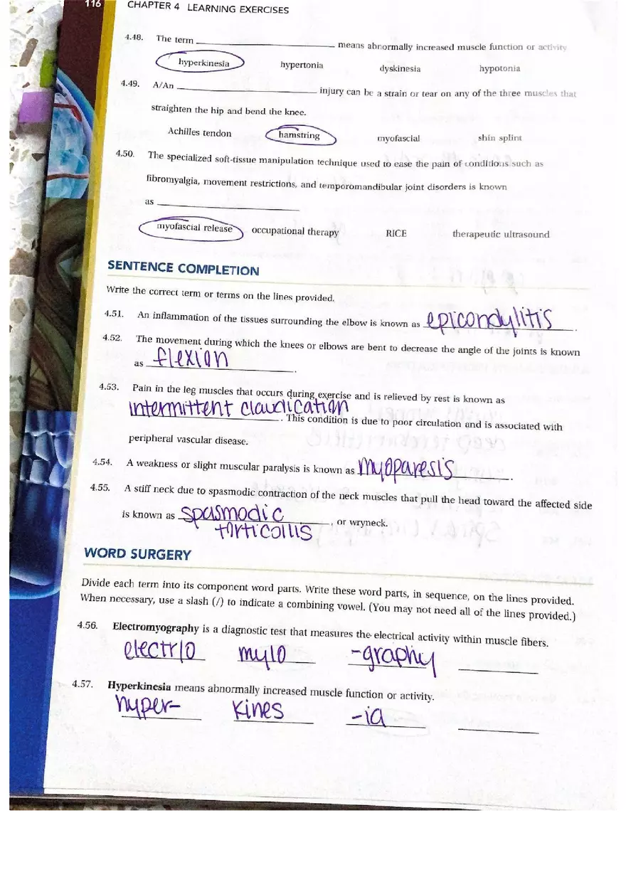 Chapter 4 Questions Muscular Answers - Page 5