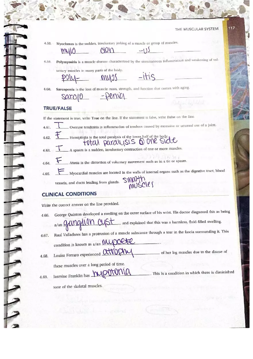 Chapter 4 Questions Muscular Answers - Page 6