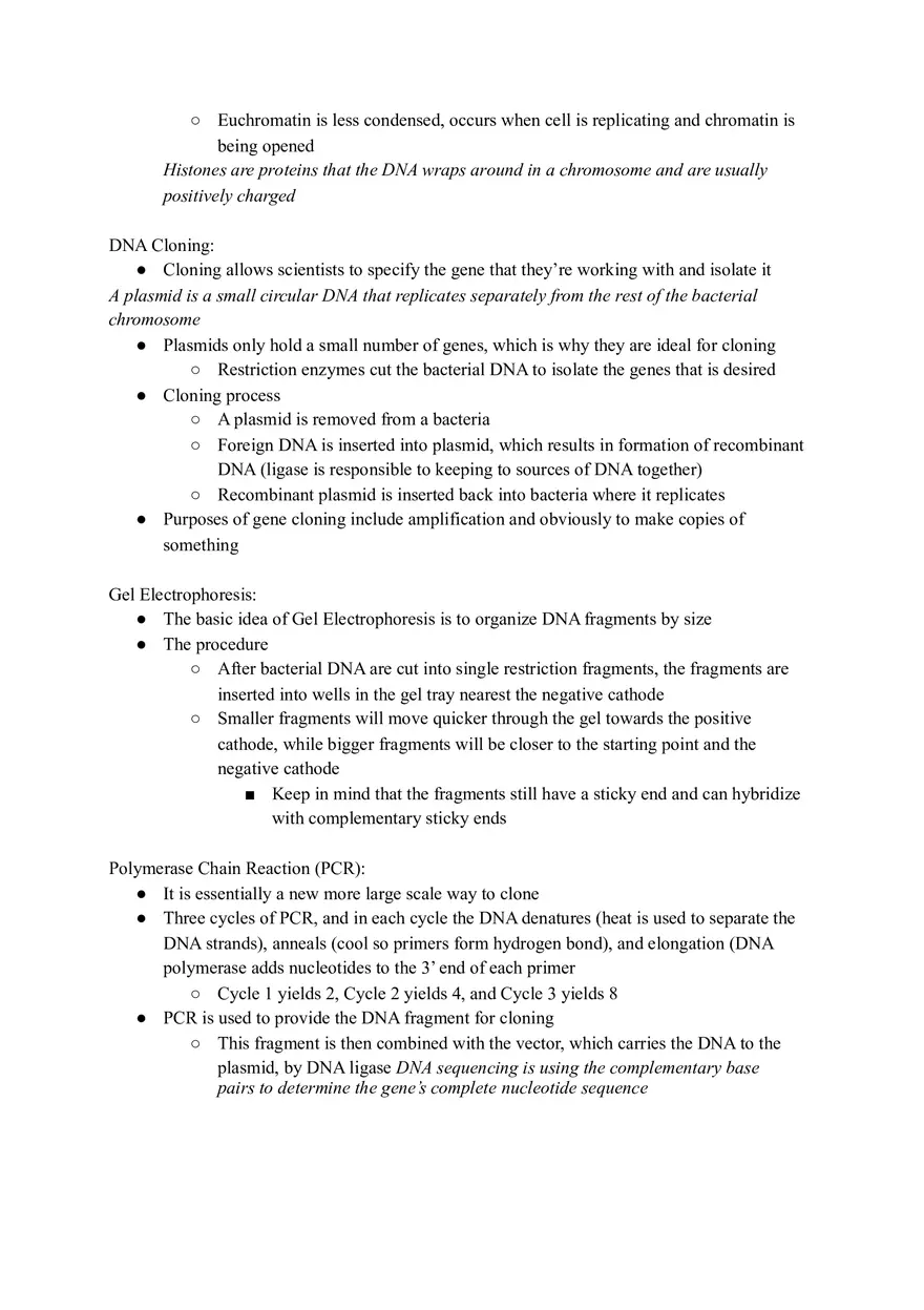The Molecular Basis of Inheritance Study Guide - Page 3