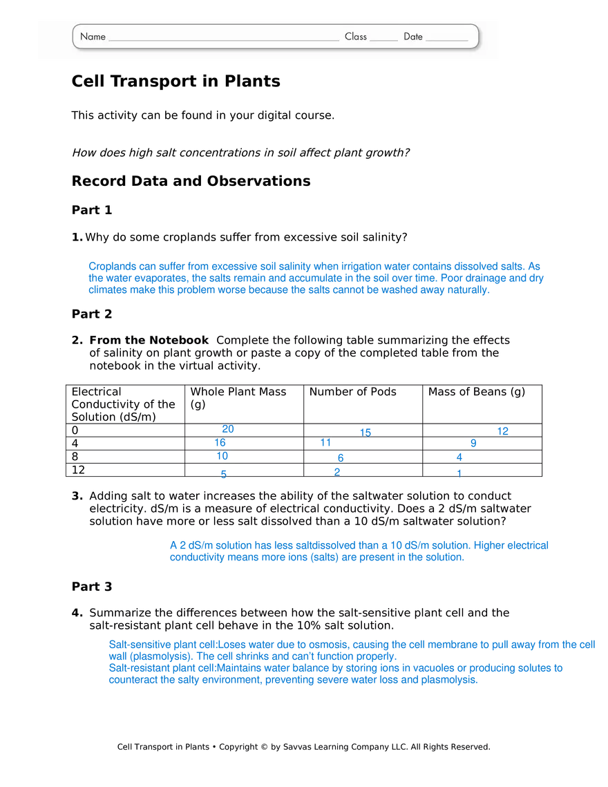 Cell Transport in Plants - Page 1