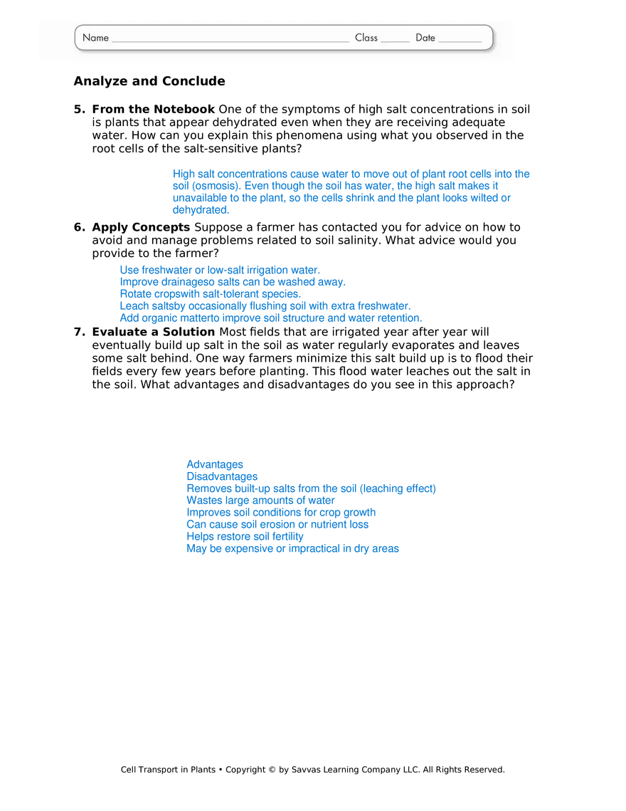 Cell Transport in Plants - Page 2