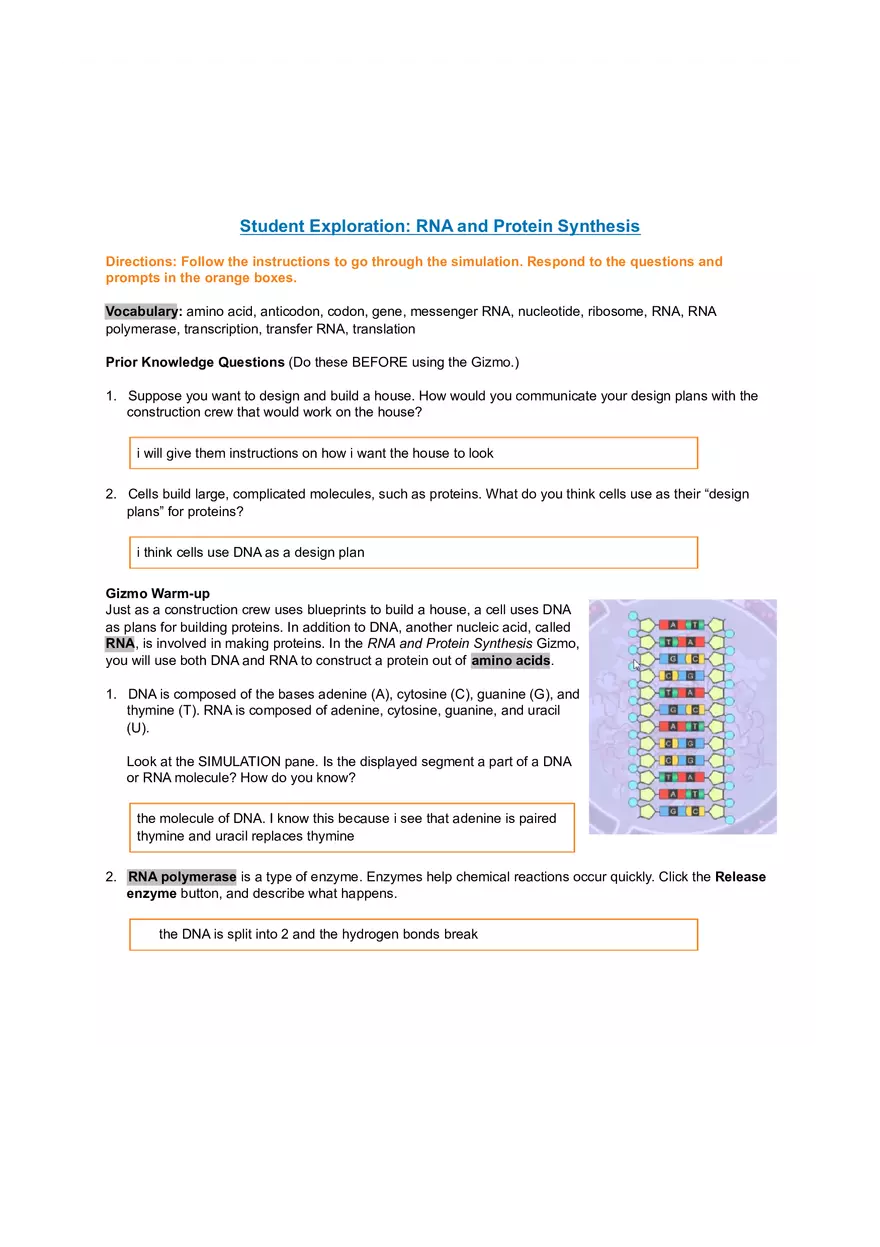 RNA and Protein Synthesis - Page 1