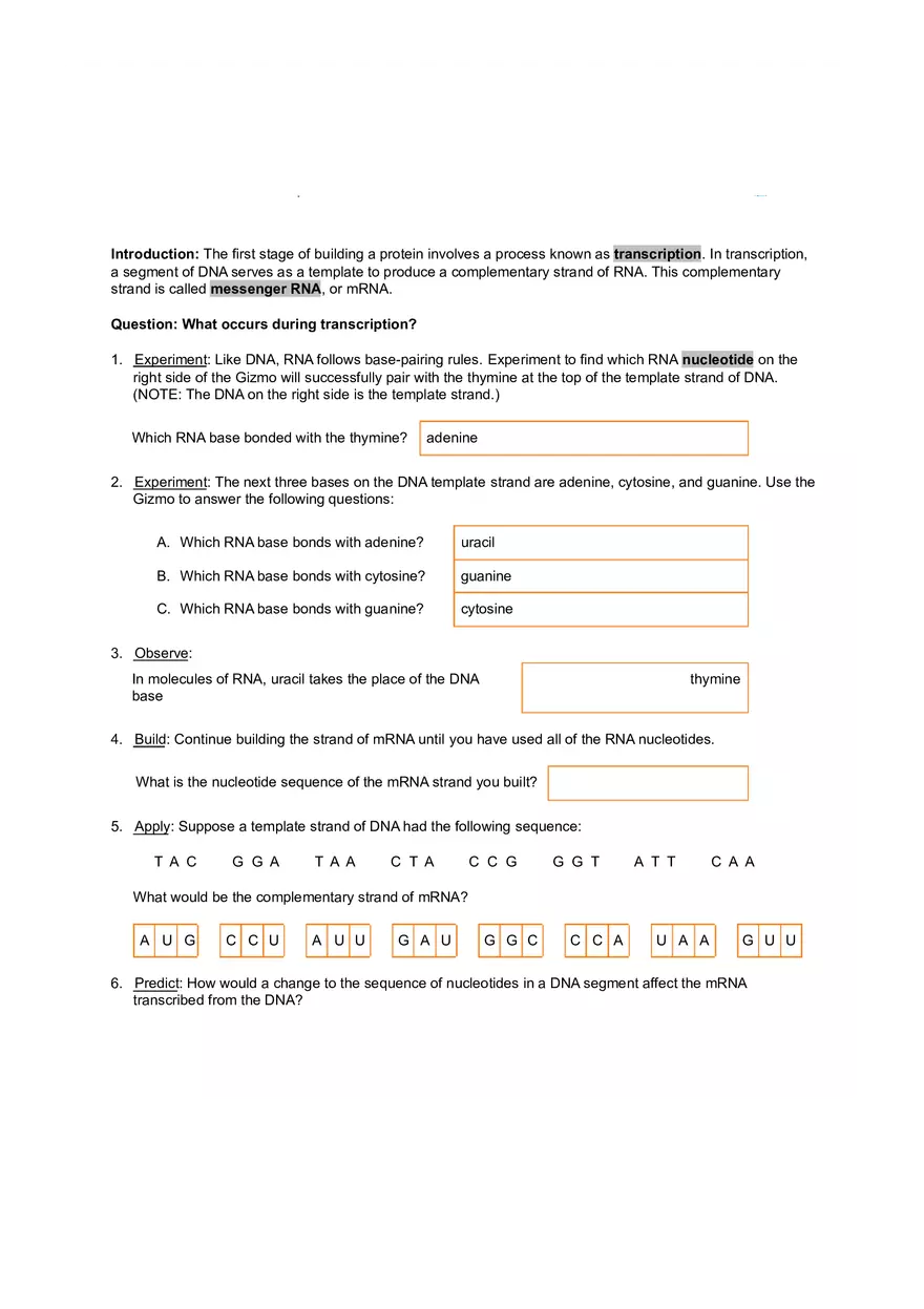 RNA and Protein Synthesis - Page 2