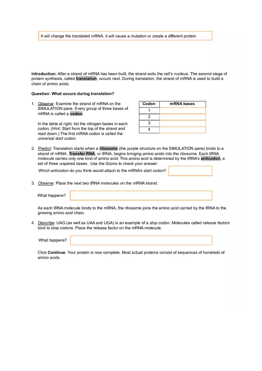 RNA and Protein Synthesis - Page 3