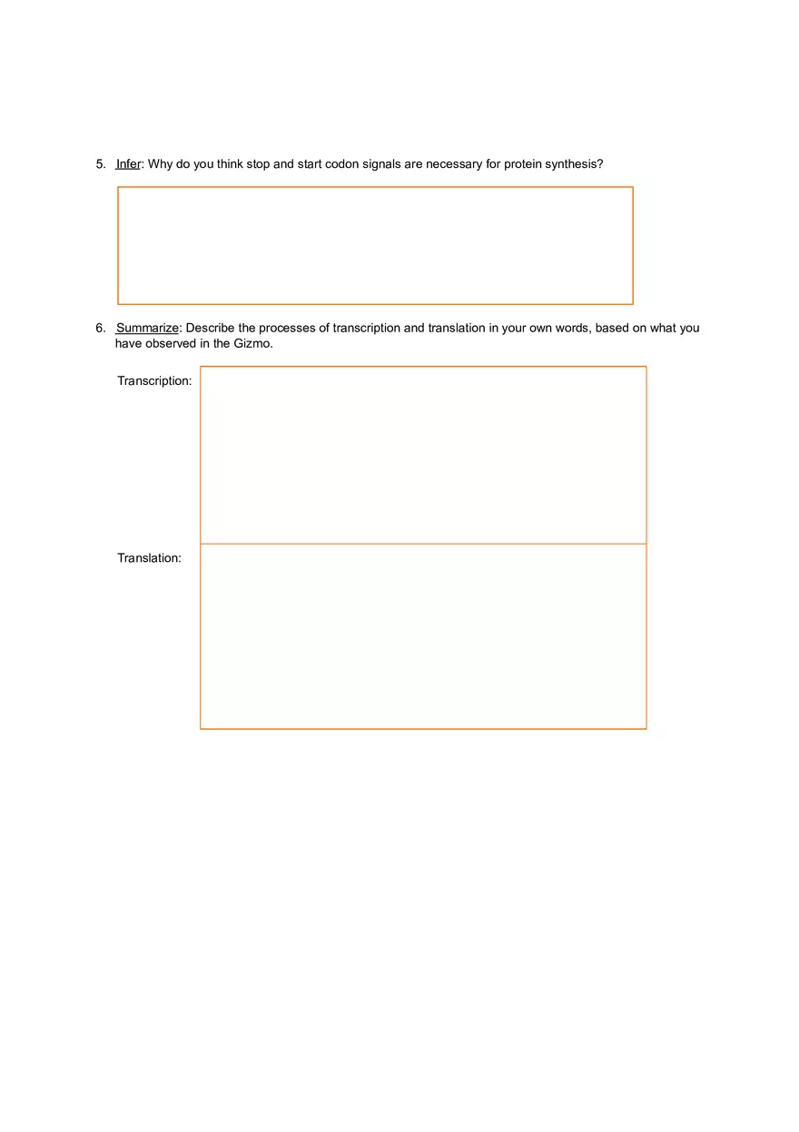 RNA and Protein Synthesis - Page 4