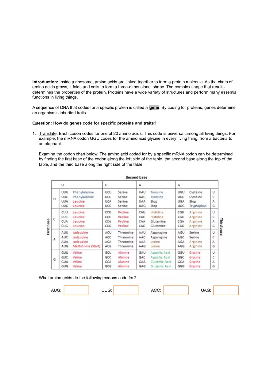 RNA and Protein Synthesis - Page 5