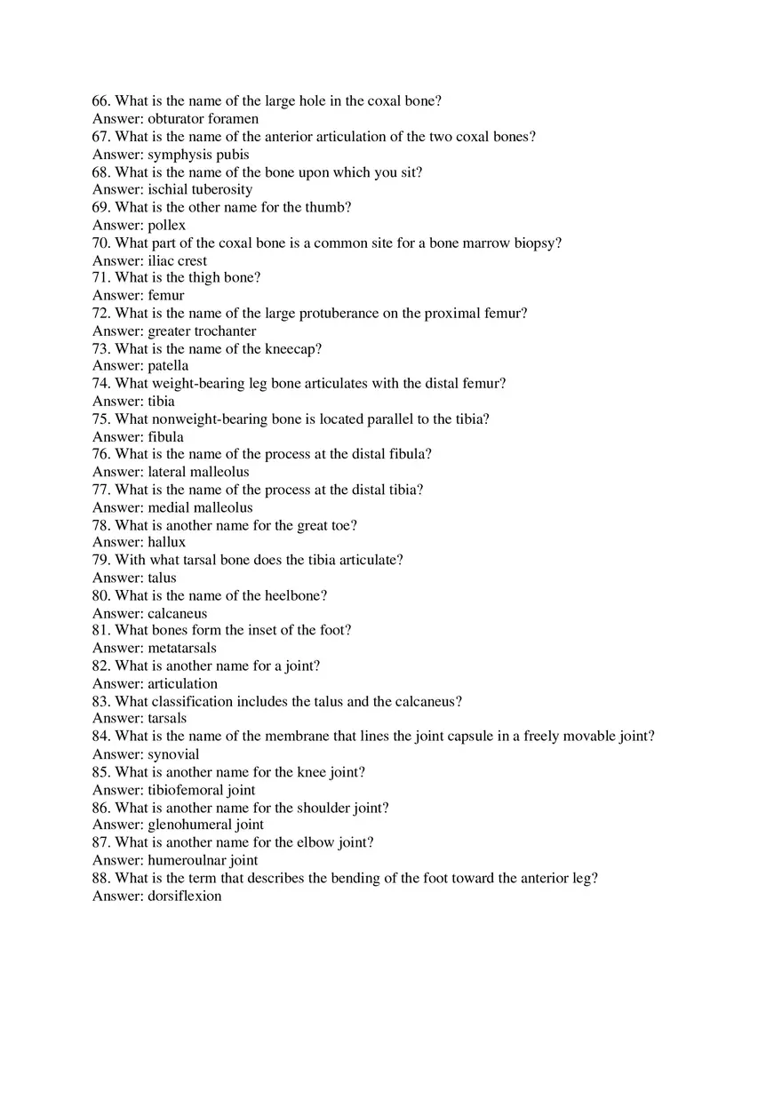 Skeletal System Study Guide - Page 4