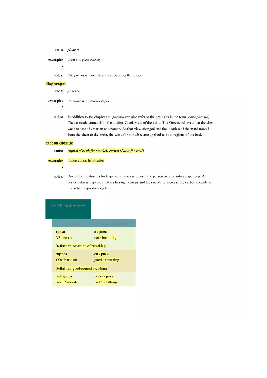 Chapter 10 The Respiratory System - Pulmonology - Page 11