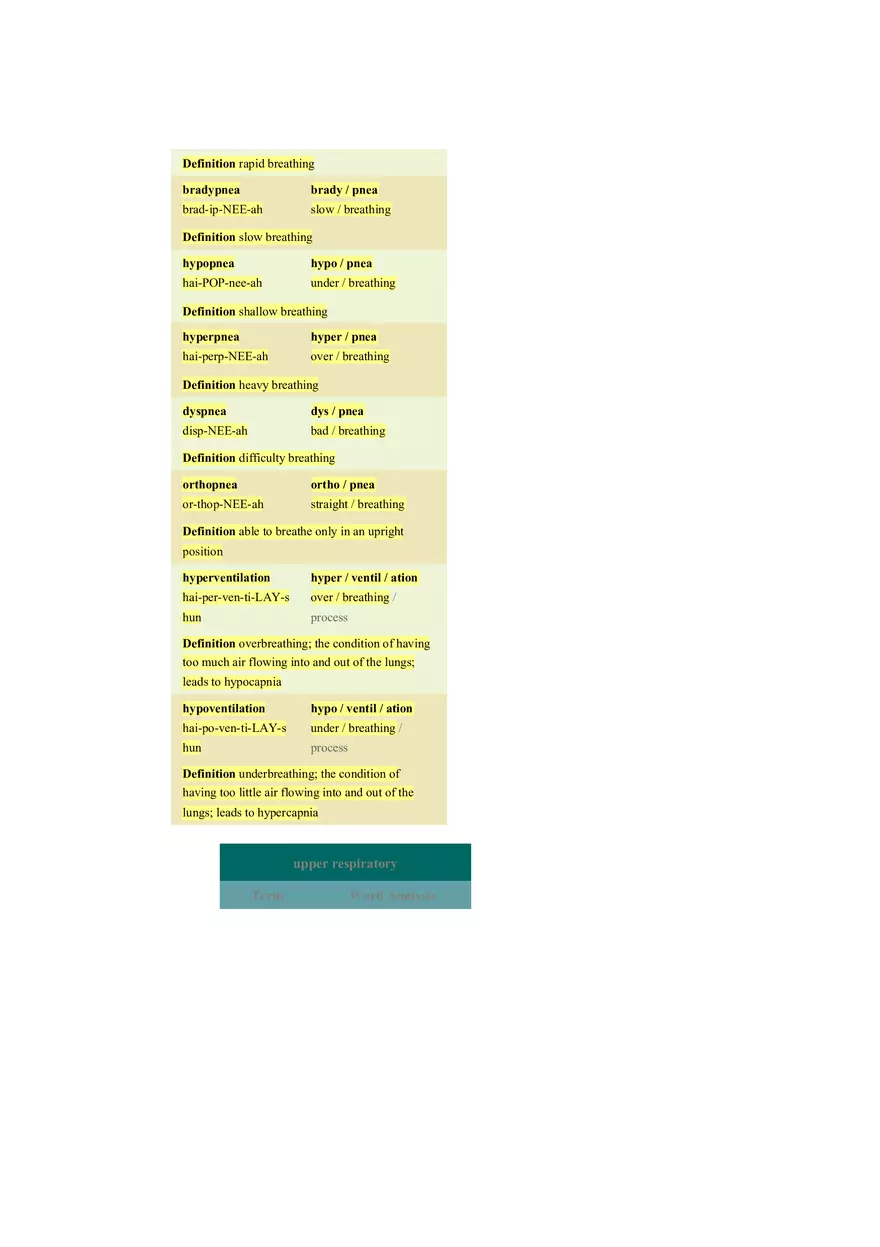 Chapter 10 The Respiratory System - Pulmonology - Page 12