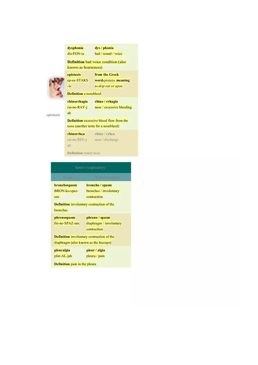 Chapter 10 The Respiratory System - Pulmonology - Page 13