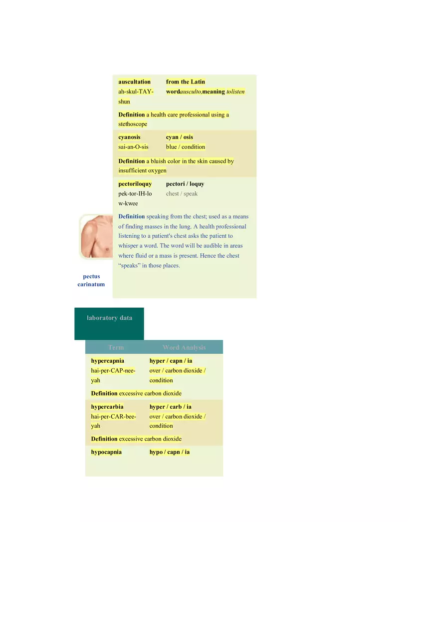 Chapter 10 The Respiratory System - Pulmonology - Page 3