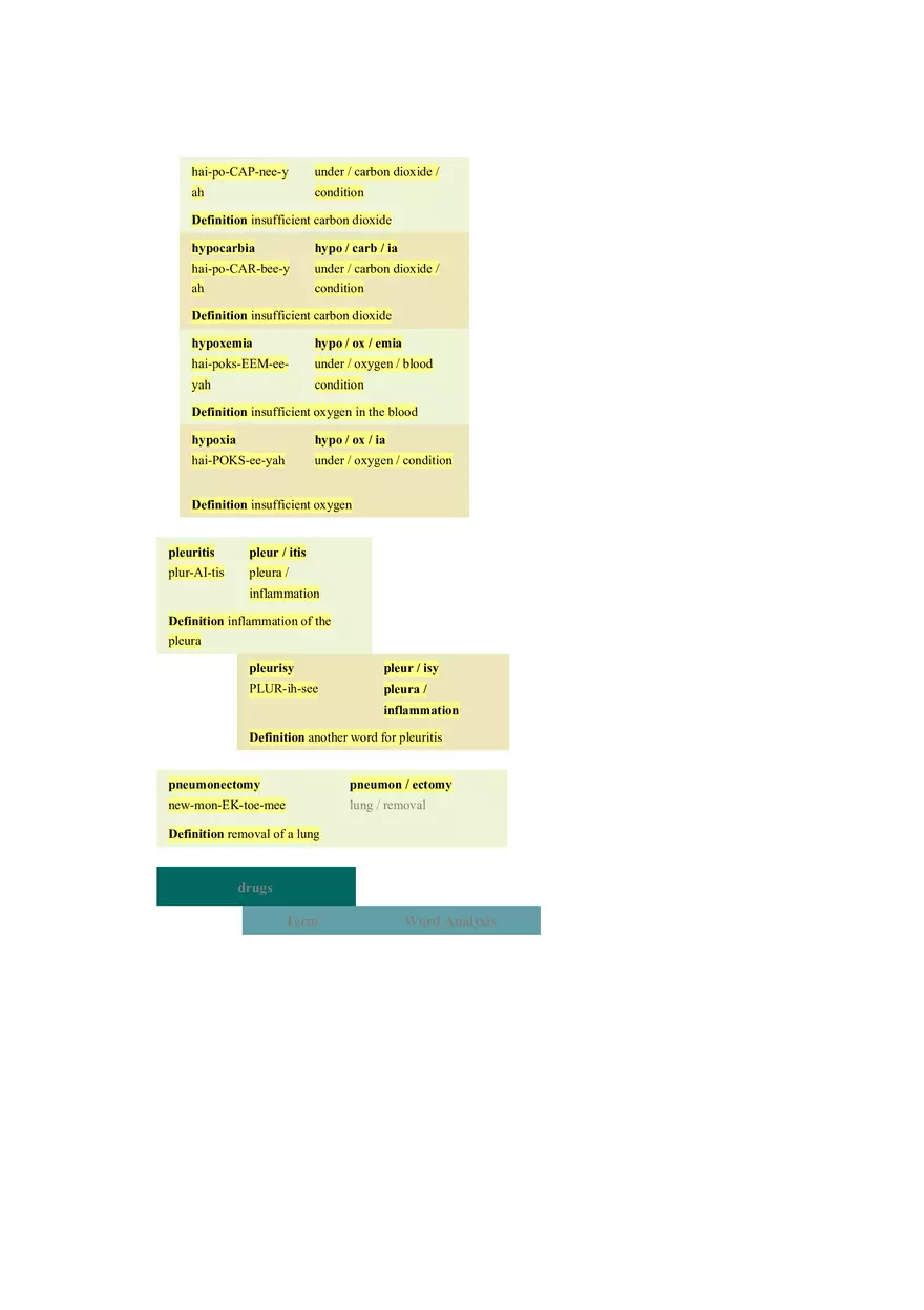 Chapter 10 The Respiratory System - Pulmonology - Page 4