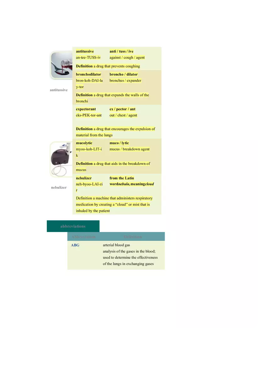 Chapter 10 The Respiratory System - Pulmonology - Page 5