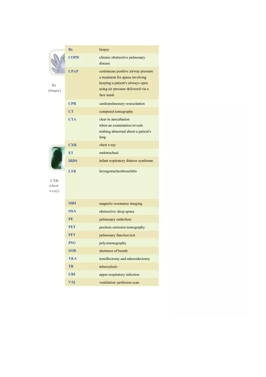 Chapter 10 The Respiratory System - Pulmonology - Page 6