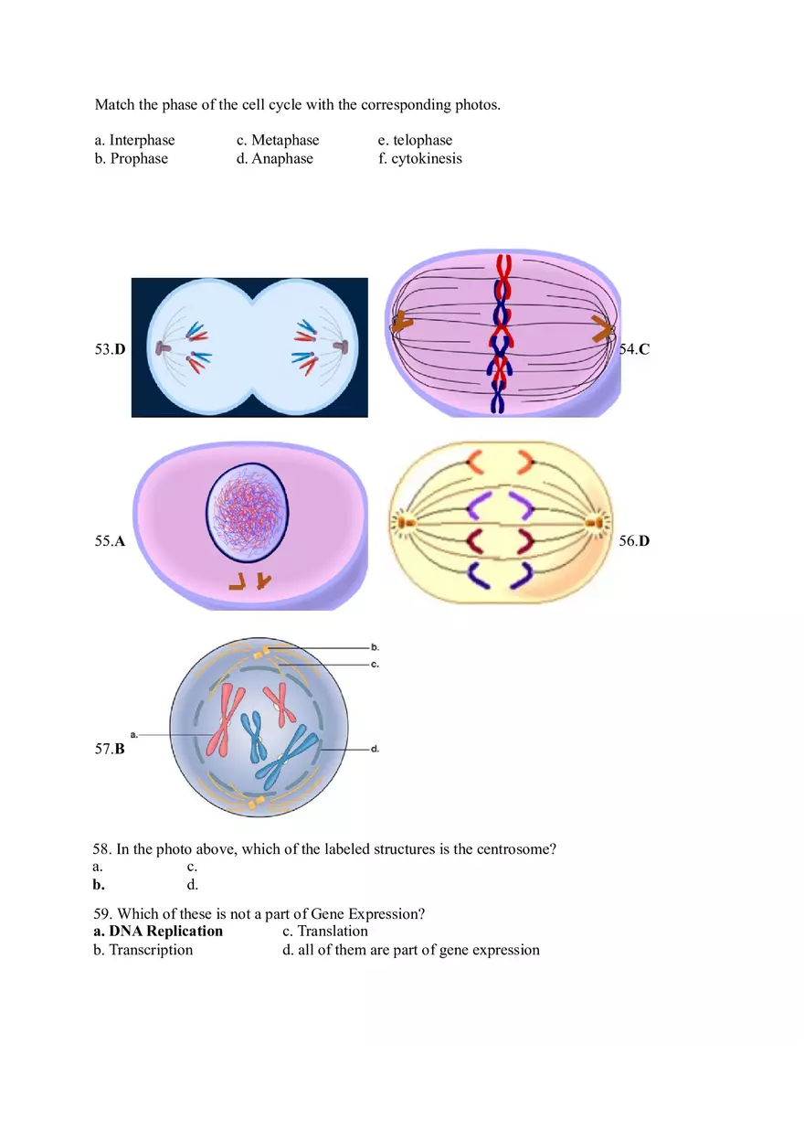 Modern Biology 76 Answer Key - Page 12